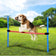 maxxpro Agility Spring Stick - Set Agility voor honden 47432 – Eén maat