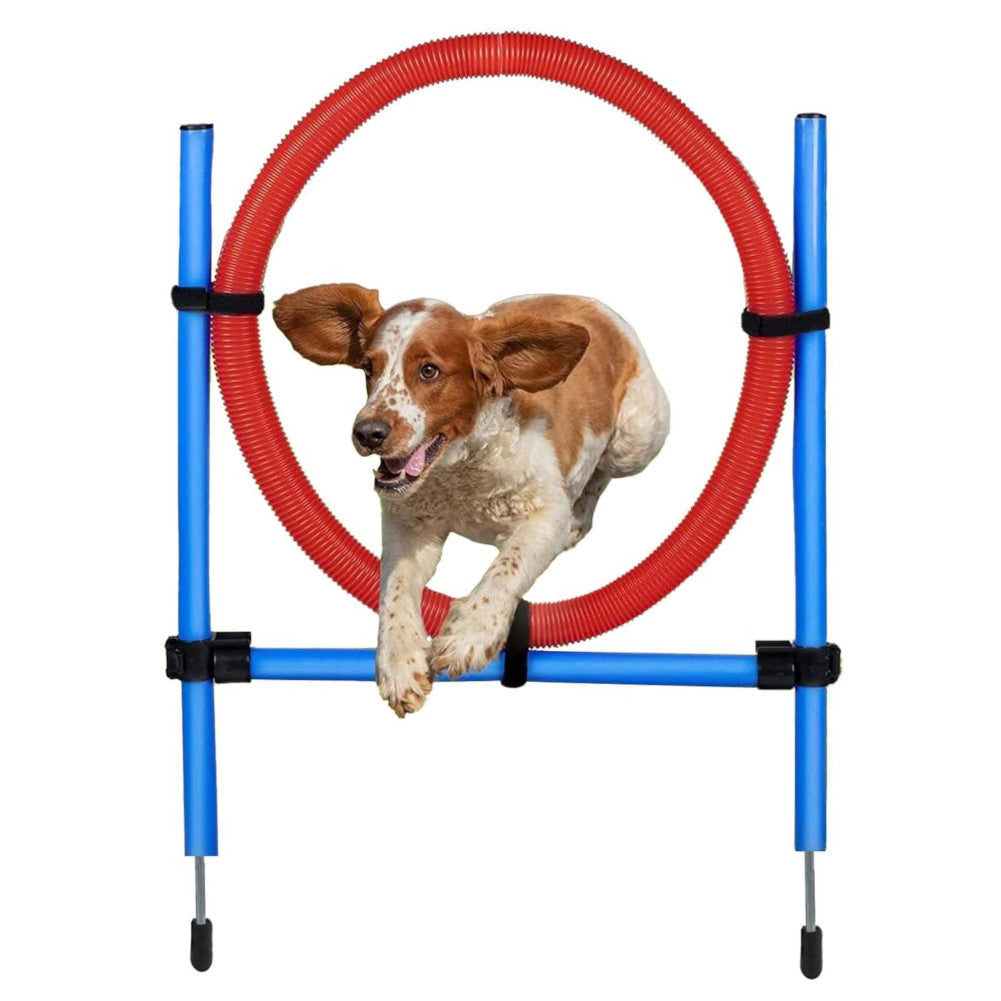 maxxpro Agility Veerring - Agility set voor honden 47433