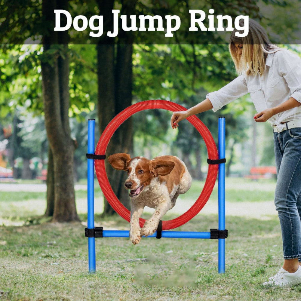 maxxpro Agility Veerring - Agility set voor honden 47433
