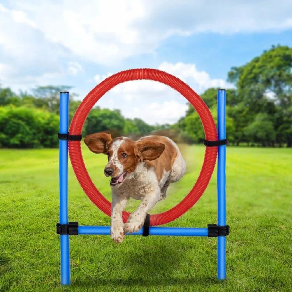 maxxpro Agility Veerring - Agility set voor honden 47433