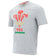 Wales WRU Macron Rugby Heren T-shirt 58195700 – S