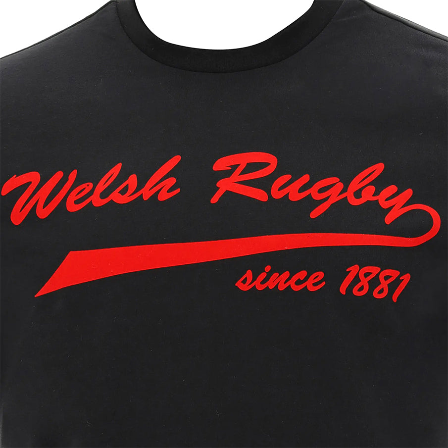 Wales WRU Macron Rugby Heren T-shirt 58195706