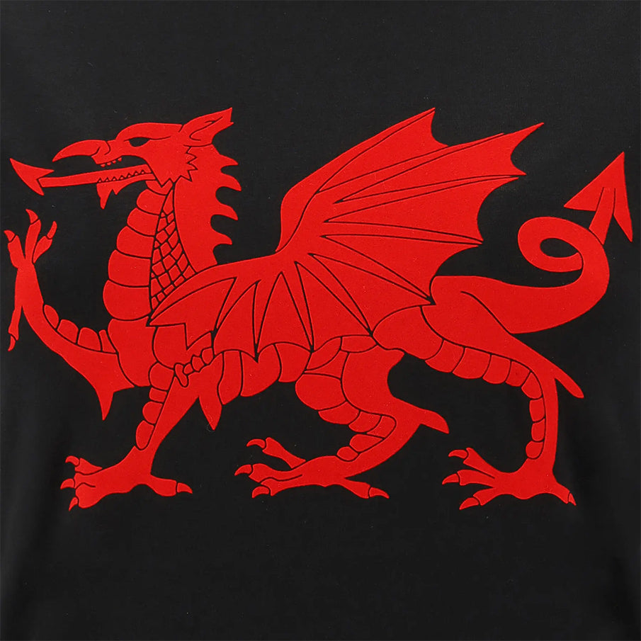 Wales WRU Macron Rugby T-shirt voor dames 58195717