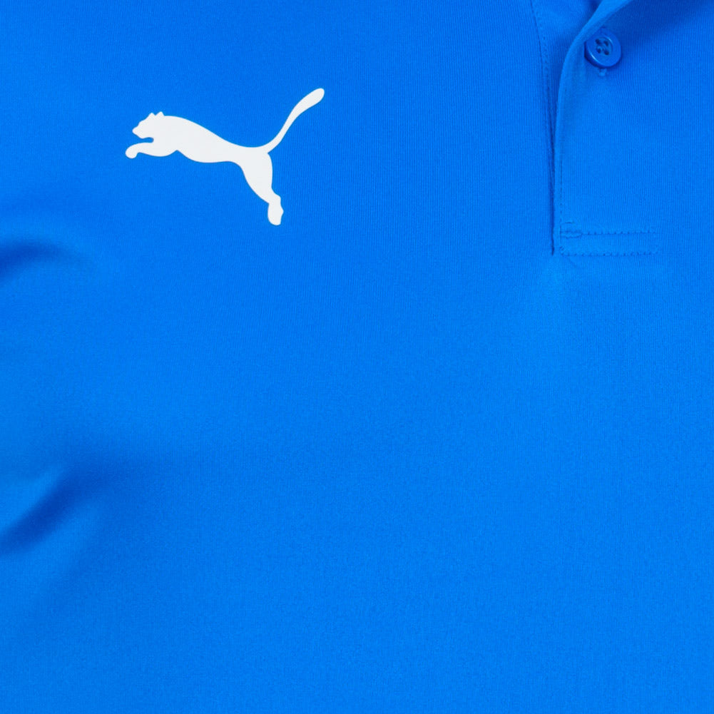 PUMA teamGOAL Sideline Herenpolo 656577-02