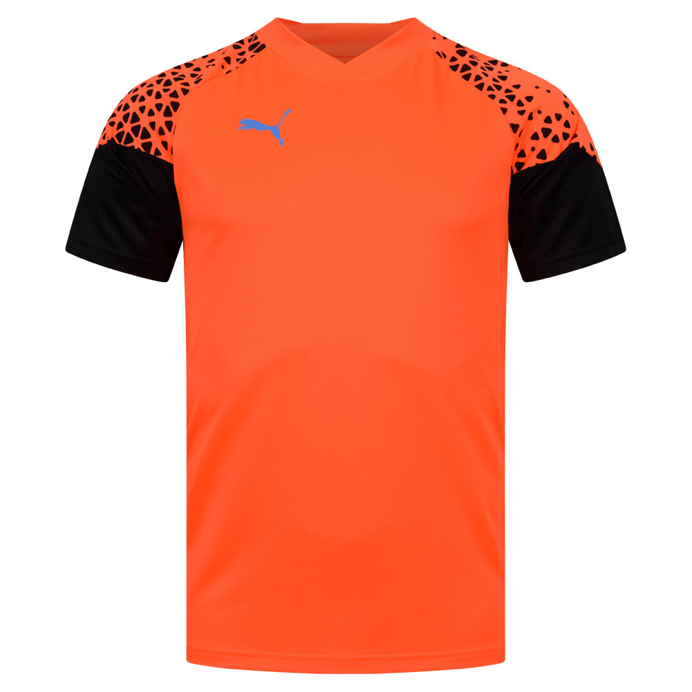 PUMA individualCUP Training Heren voetbalshirt 658289-50