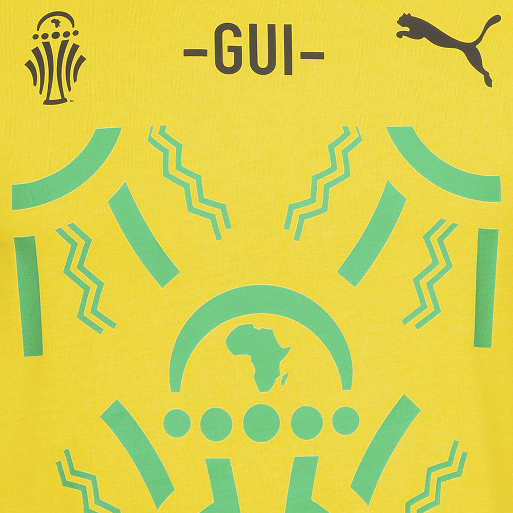 Guinea PUMA Heren T-shirt 684569-01