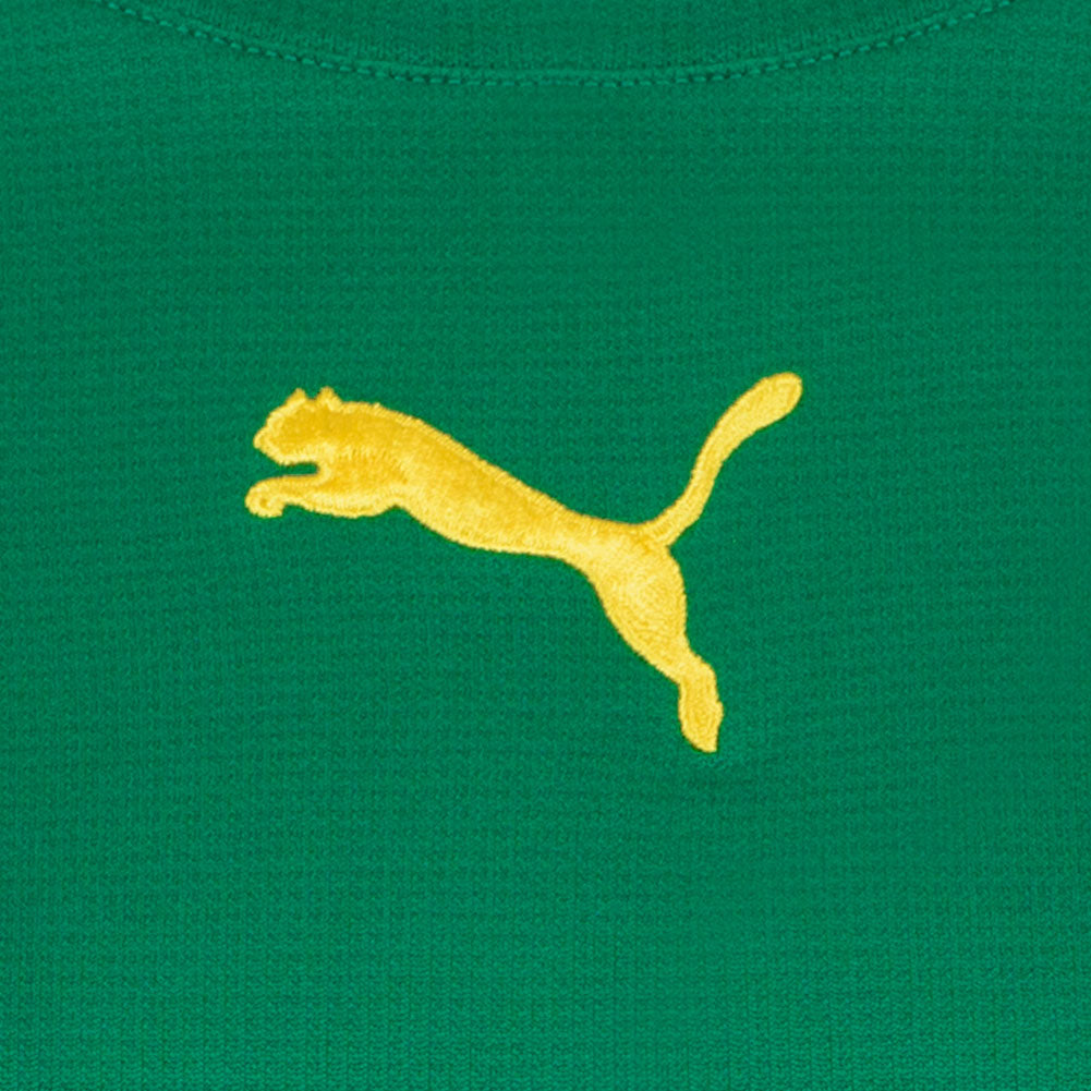 PUMA V5.06 damesshirt met lange mouwen 700282-15