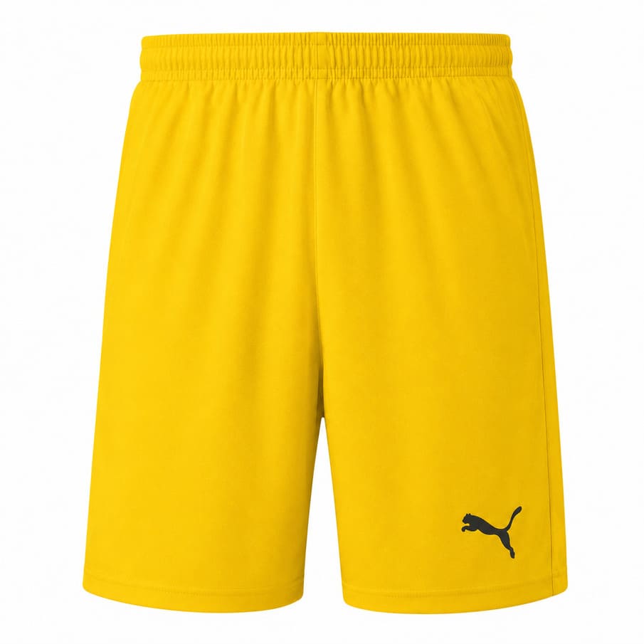 PUMA LIGA Core herenshorts met binnenbroekje 703615-07
