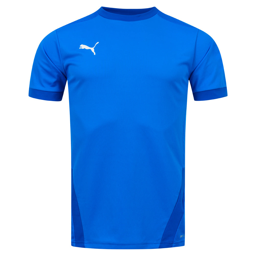 PUMA teamGOAL heren voetbalshirt 704171-02