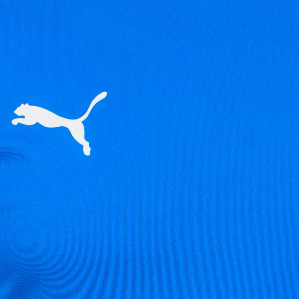 PUMA teamGOAL heren voetbalshirt 704171-02