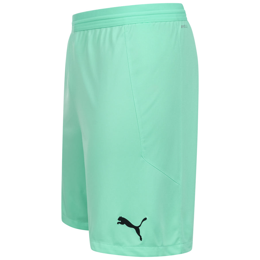 PUMA teamFINAL Heren Trainingsshort 704257-21