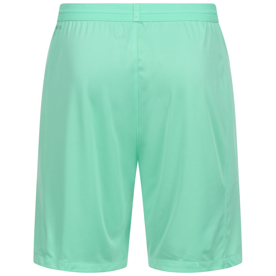 PUMA teamFINAL Heren Trainingsshort 704257-21