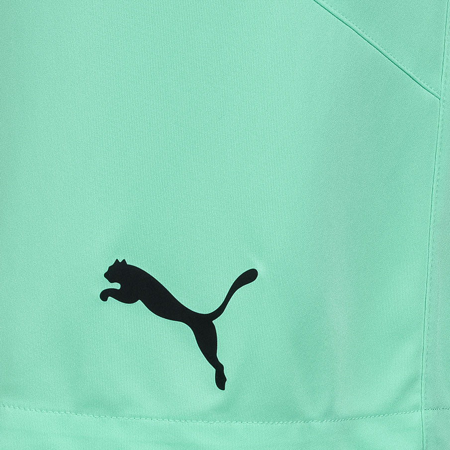 PUMA teamFINAL Heren Trainingsshort 704257-21