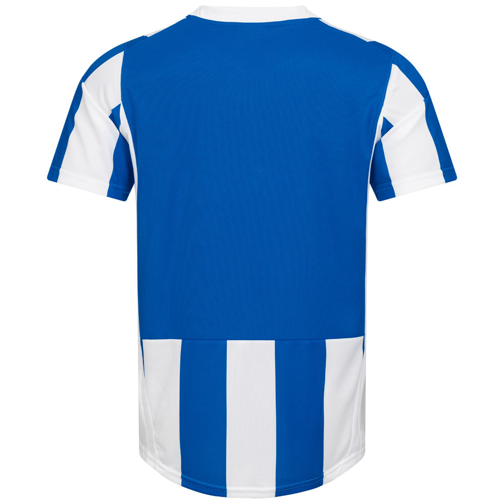 PUMA PowerCat 5.10 gestreept shirt 741322-01