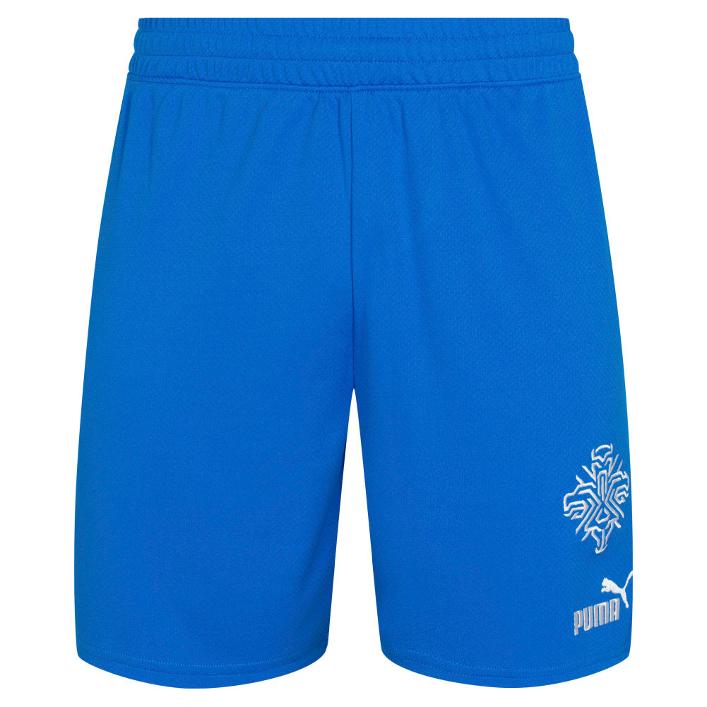 IJsland PUMA Heren Thuis Short 766069-01