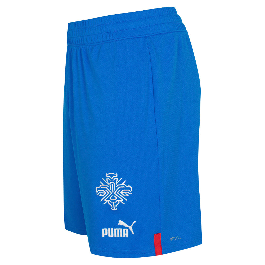 IJsland PUMA Heren Thuis Short 766069-01