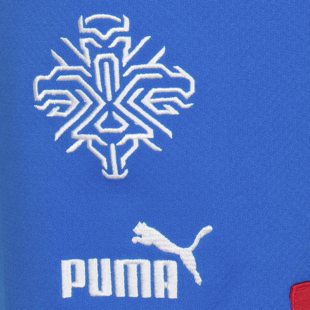 IJsland PUMA Heren Thuis Short 766069-01