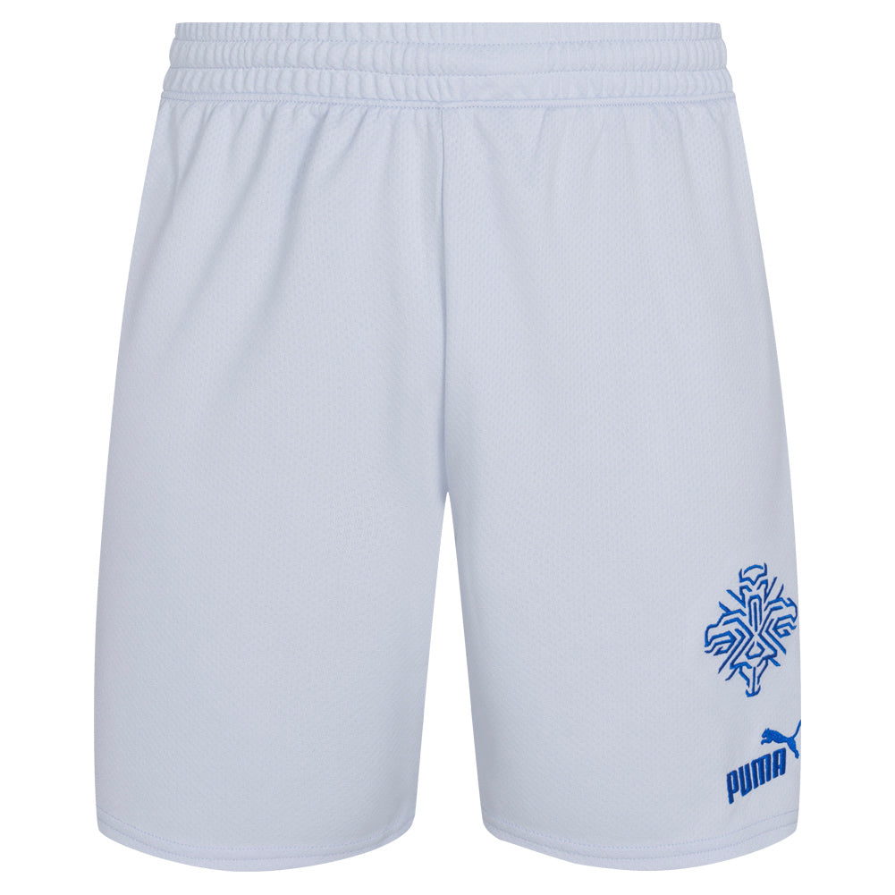 IJsland PUMA Heren Uitshorts 766069-02