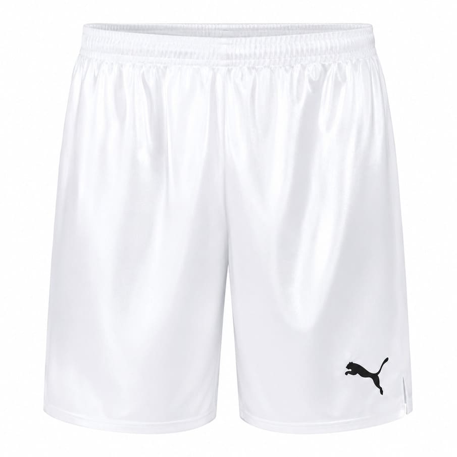 PUMA Game Herenshorts 900410-13