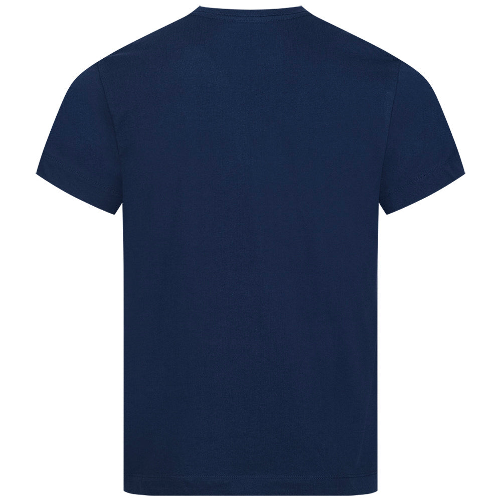 THANOS STANCE MARVEL Heren T-Shirt FBMTS714NVY
