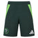 Algerije adidas Uitshorts IT2730 – XS