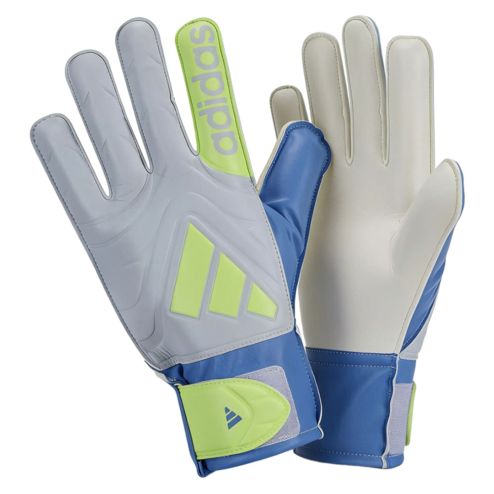 adidas COPA Gloves CLB Heren Keepershandschoenen JH3790