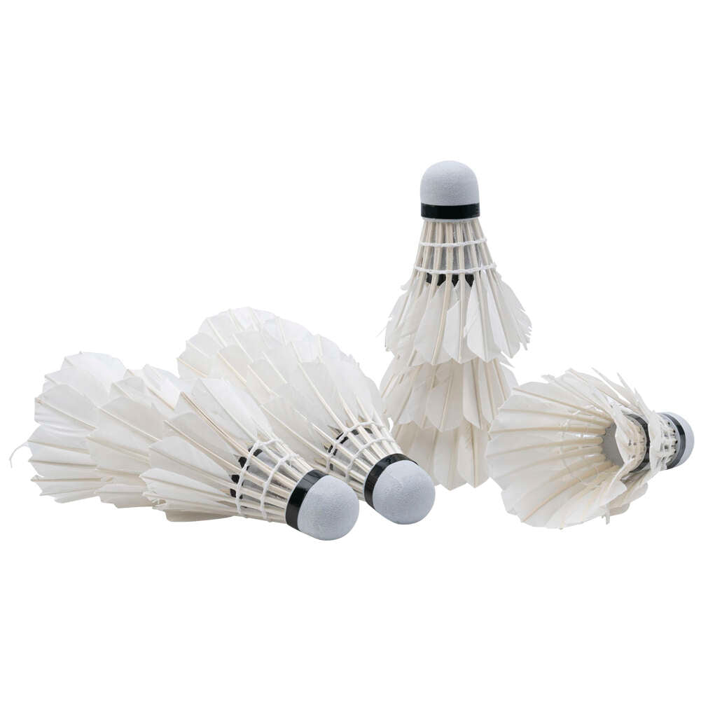 JELEX Fly High Badmintonshuttle set van 12