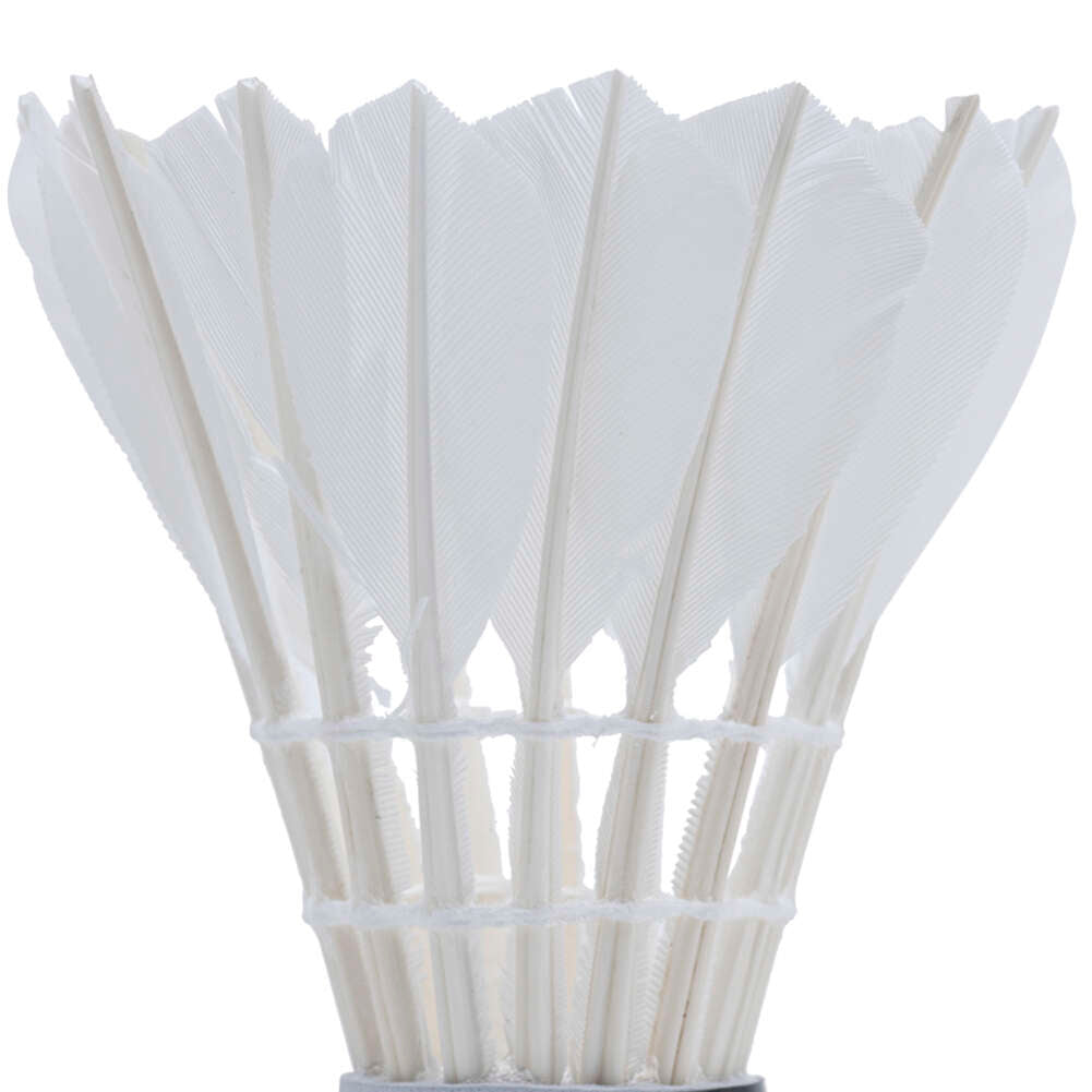 JELEX Fly High Badmintonshuttle set van 12