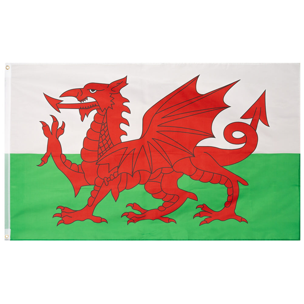 Wales Vlag MUWO "Nations Together" 90 x 150 cm