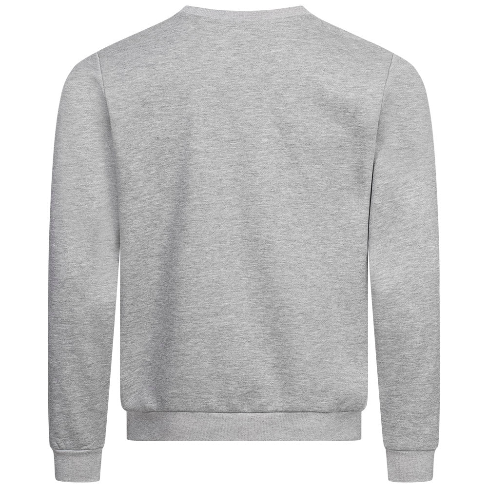 Pierre Cardin Ronde Hals Crew Heren Sweatshirt O103221-J826