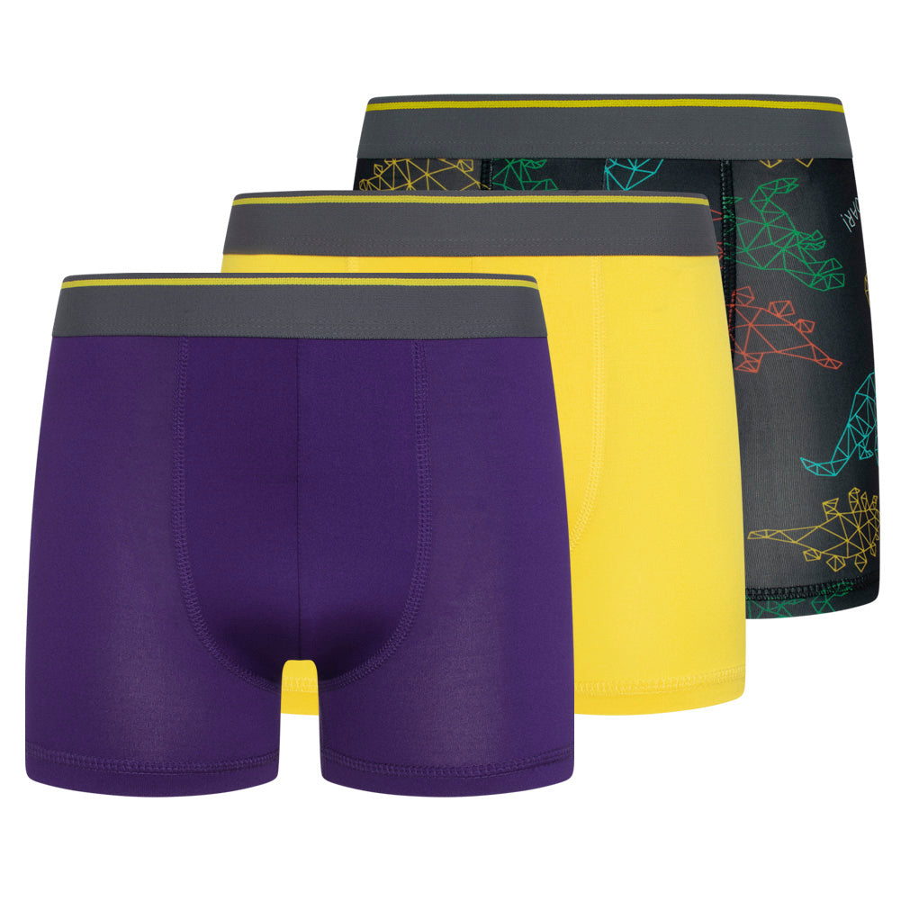 Parker & Fox Performance Kinder Boxershorts 3-pack PRXFA24B151642-014
